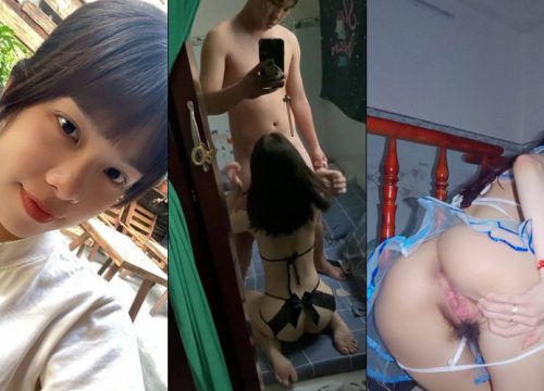 Chim anh dài cong ngày nào cũng tranh thủ con ngủ xả tinh